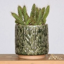 HomArt Cactus Planter Planters