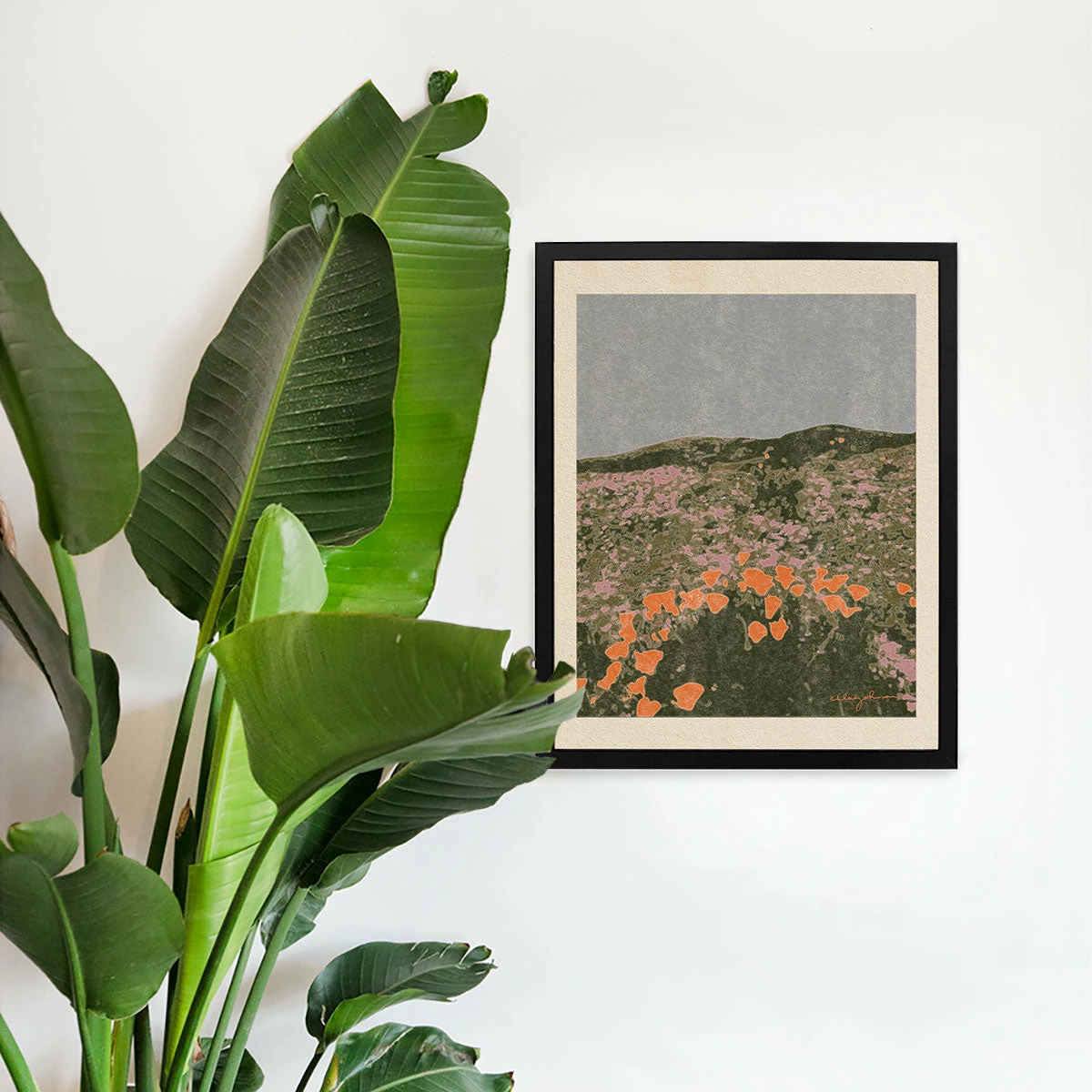 New California Poppies Art Print By Chloe Purpero Johnson
