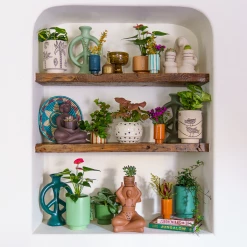 Jungalow® Cosmic Desert Kaya Pot By Justina Blakeney™