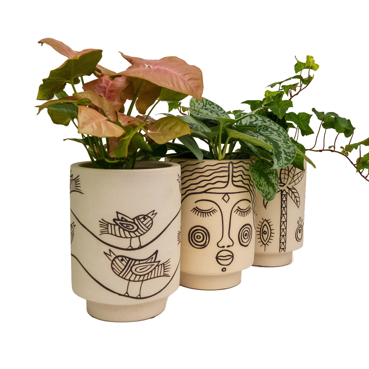 Jungalow® Kaya Birdie Pot By Justina Blakeney™ Planters