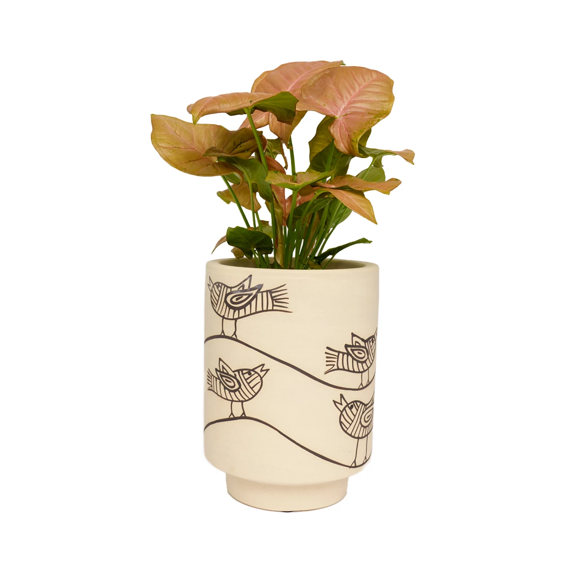 Jungalow® Kaya Birdie Pot By Justina Blakeney™ Planters