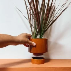 Jungalow® Kaya Shorty Ceramic Planter By Justina Blakeney™