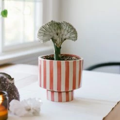 Jungalow® Kaya Shorty Ceramic Planter By Justina Blakeney™