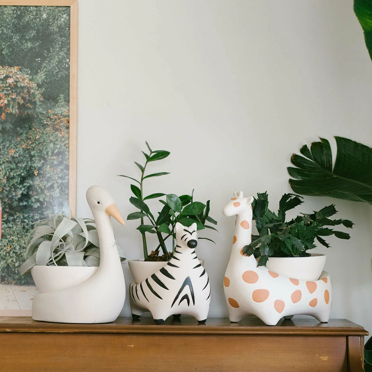 Jungalow® Zebra Savannah Garden Pot By Justina Blakeney™