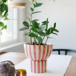 Jungalow® Kaya 2-Piece Ceramic Bowl Planter By Justina Blakeney™ Planters