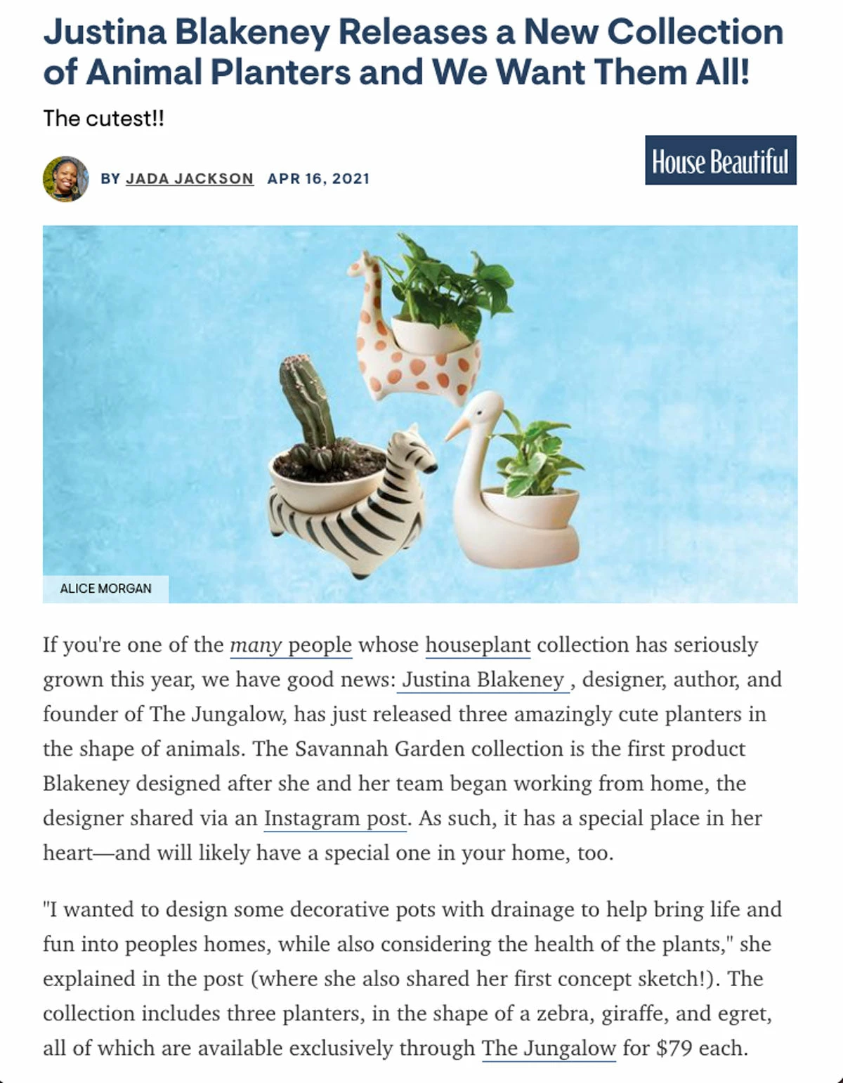 Jungalow® Zebra Savannah Garden Pot By Justina Blakeney™