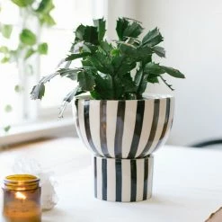 Jungalow® Kaya 2-Piece Ceramic Bowl Planter By Justina Blakeney™ Planters