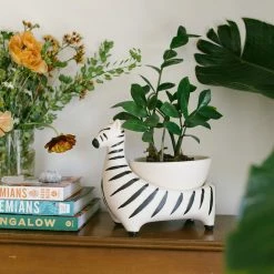 Jungalow® Zebra Savannah Garden Pot By Justina Blakeney™